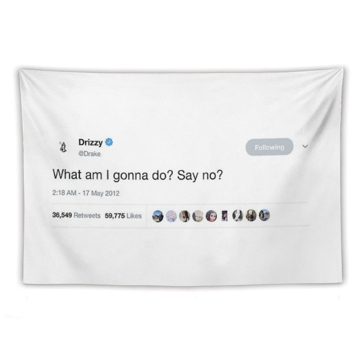 Drake - What Am I Gonna Do Say No Tweet Tapestry