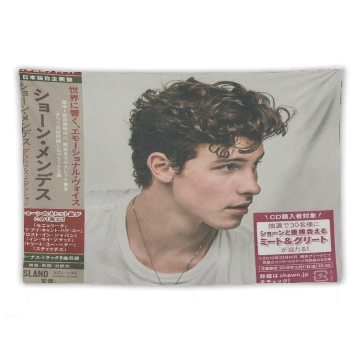 Shawn Mendes {Japan Deluxe Edition) Tapestry