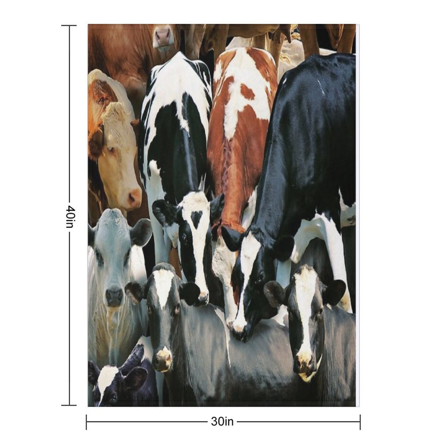 Cows Throw Blanket