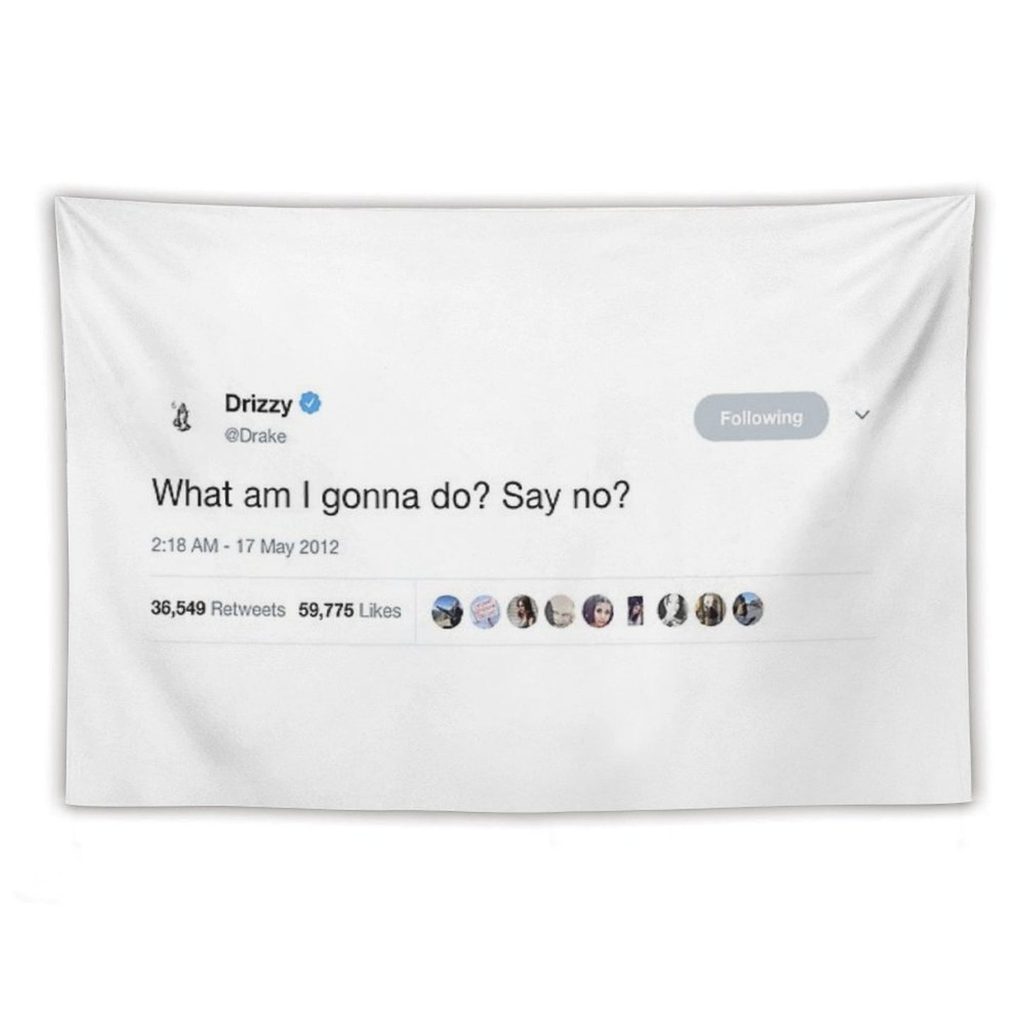 Drake - What Am I Gonna Do Say No Tweet Tapestry