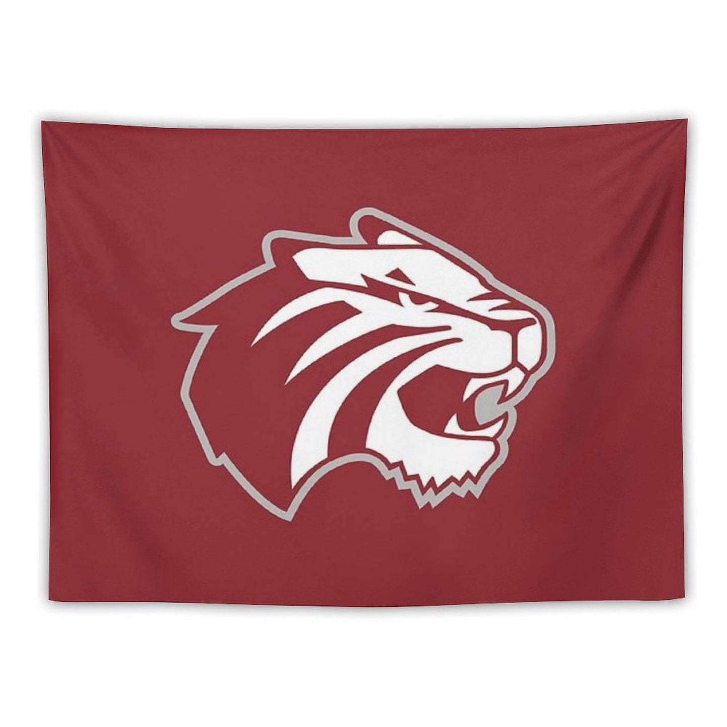 Trinity University Tapestry