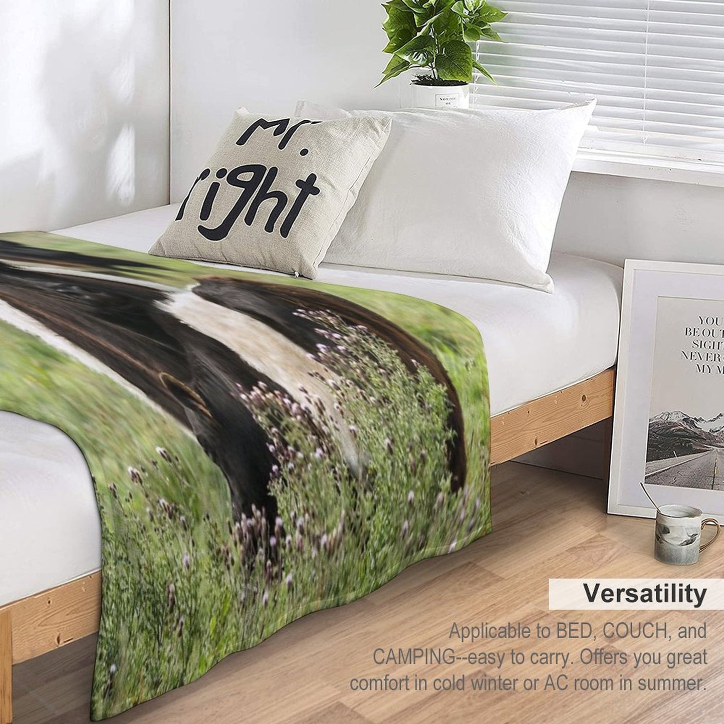 Belted Galloway Cows Throw Blanket