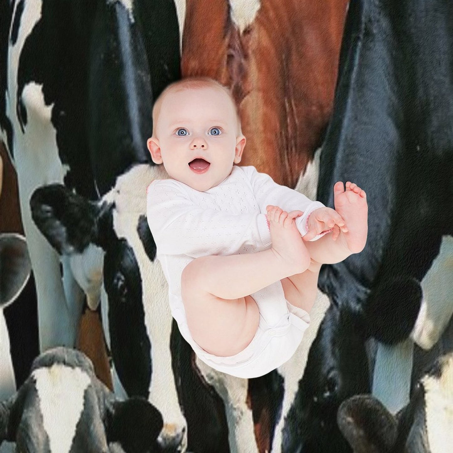 Cows Throw Blanket
