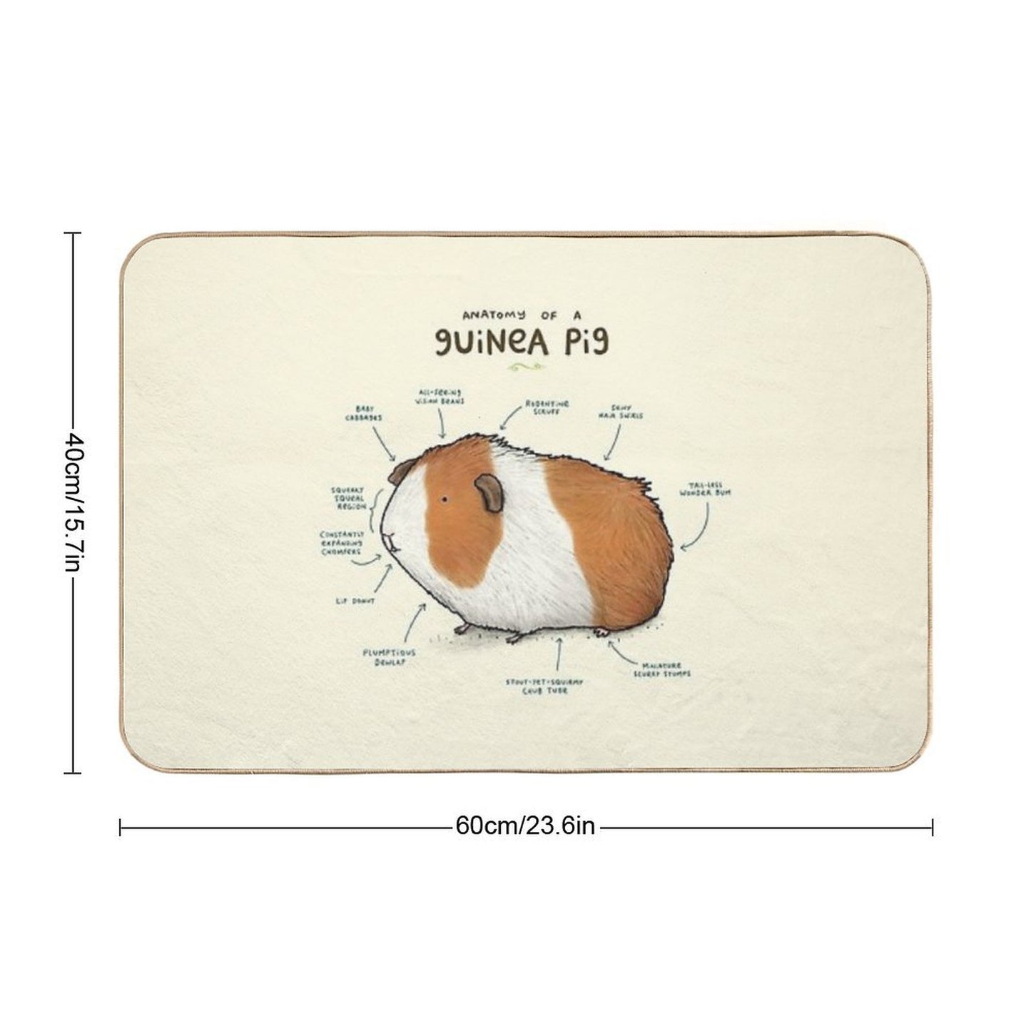 Anatomy of A Guinea Pig High-Traffic Bath Mat