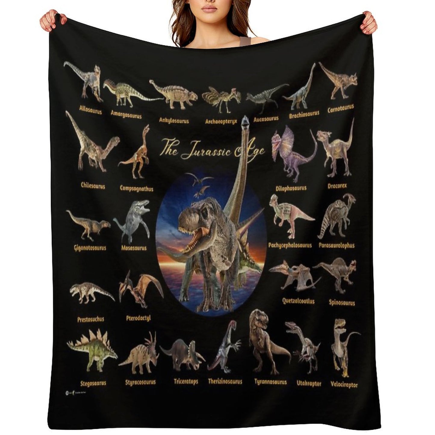 Dinosaurs The Jurassic Age (Black Background) Throw Blanket