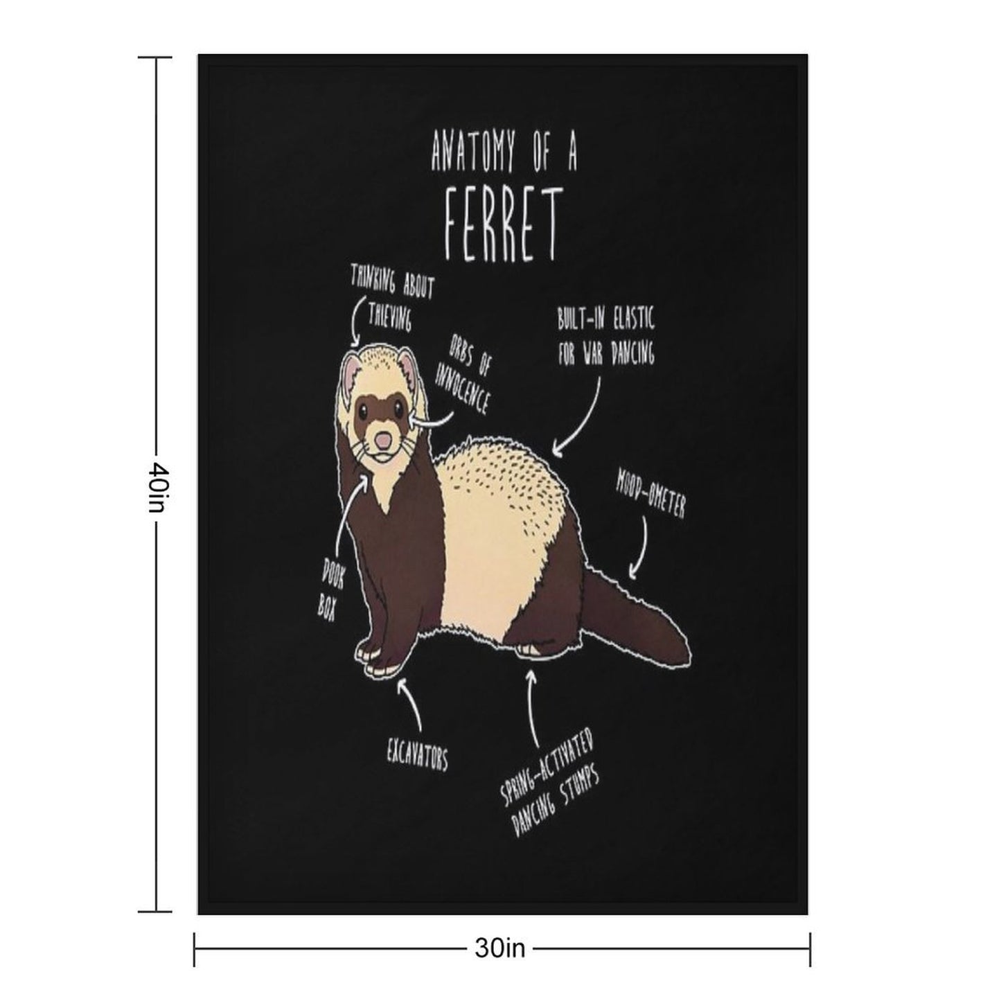 Anatomy of A Ferret Throw Blanket