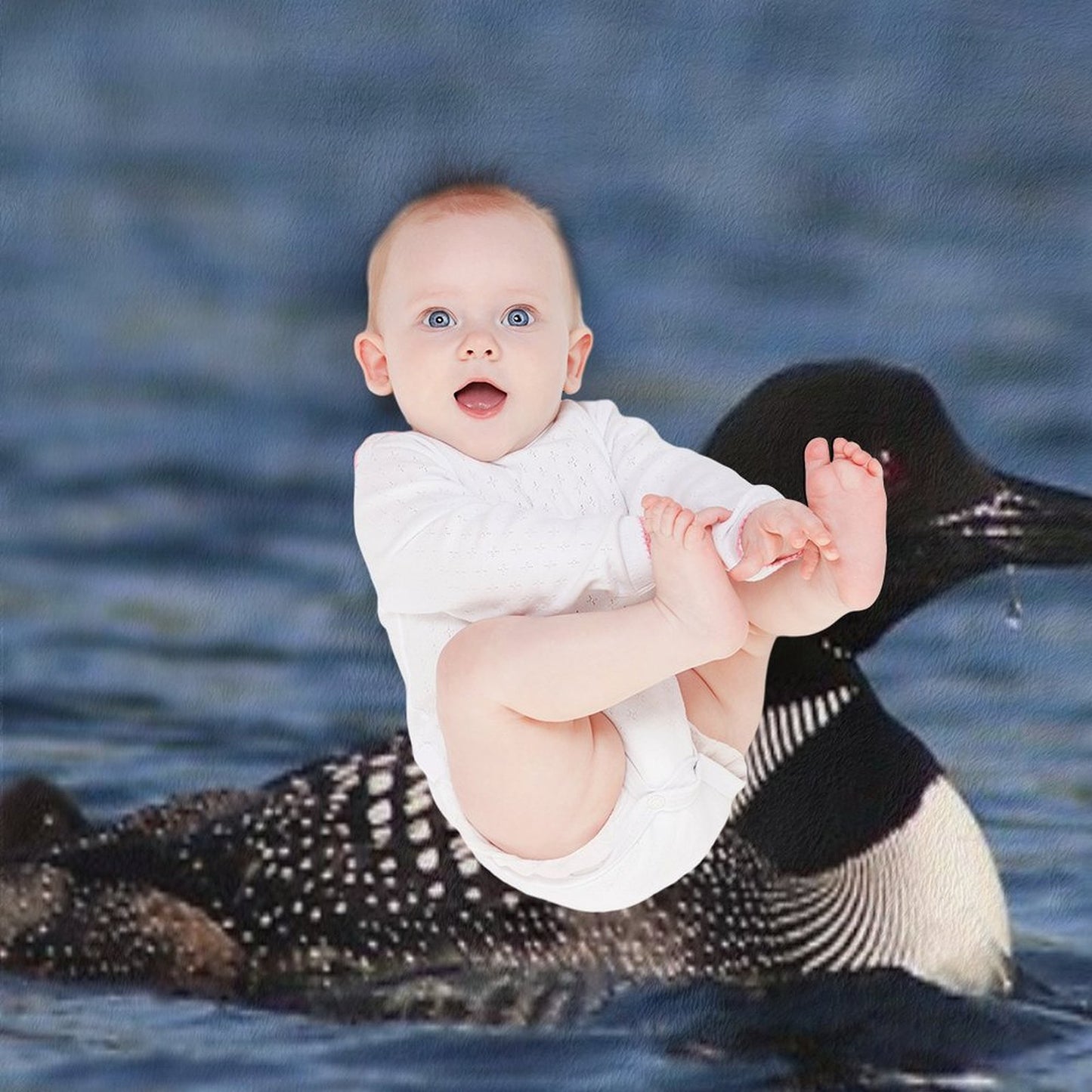 Common Loon Throw Blanket