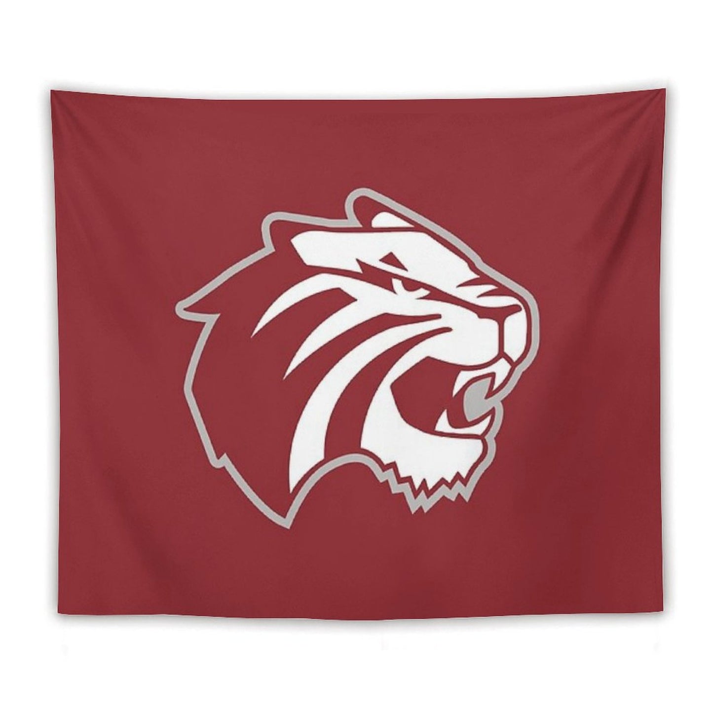 Trinity University Tapestry