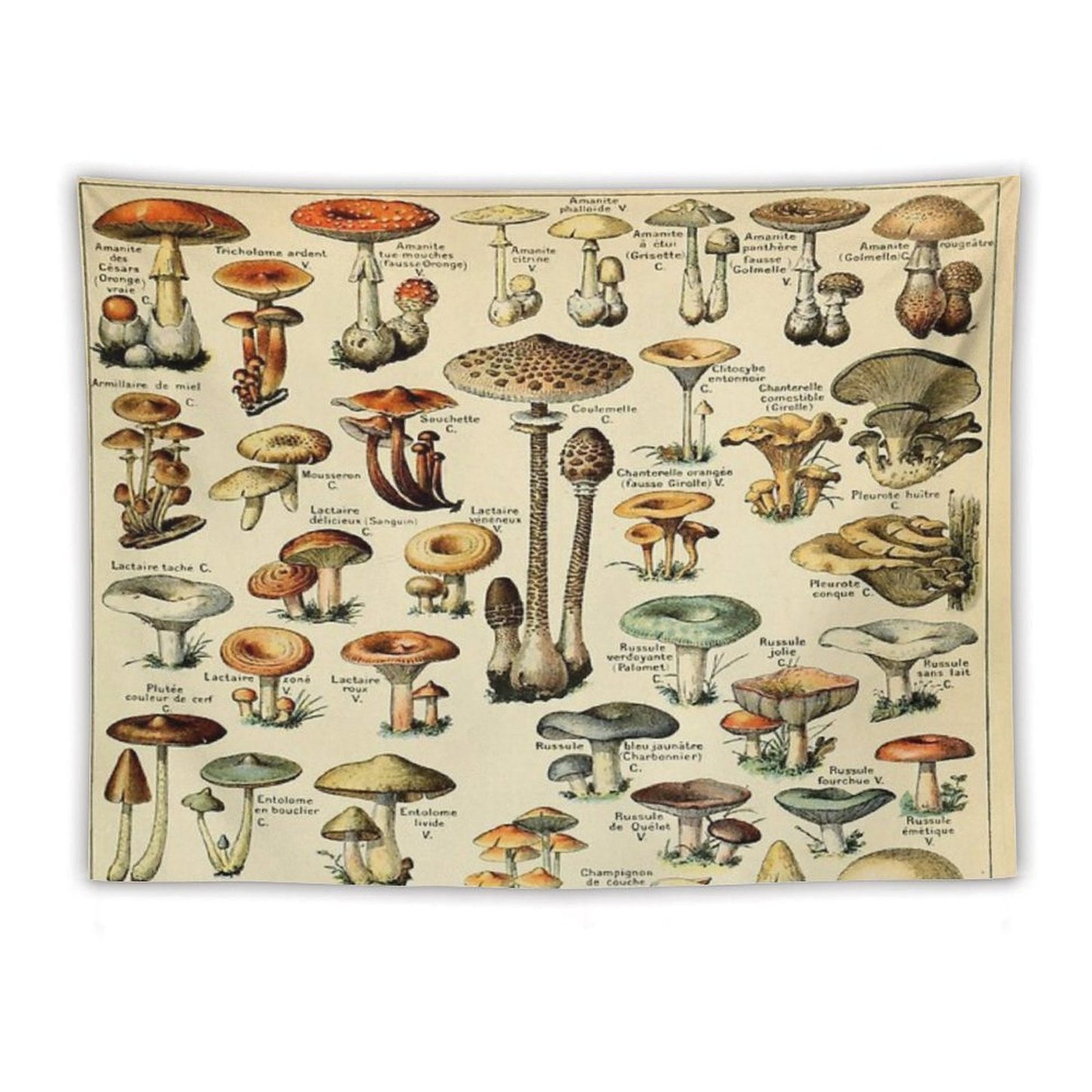 Mushrooms Tapestry