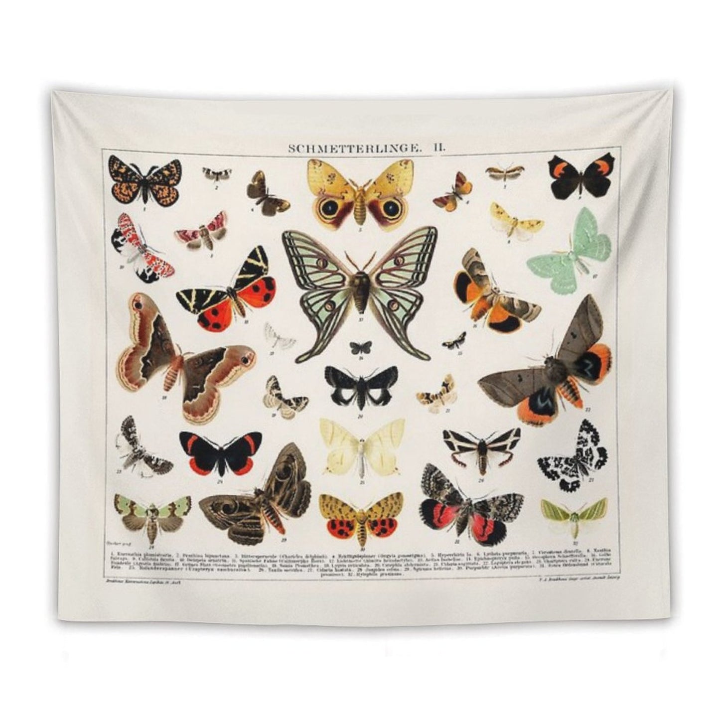 1894 Antique Butterfly Classification Illustration Tapestry