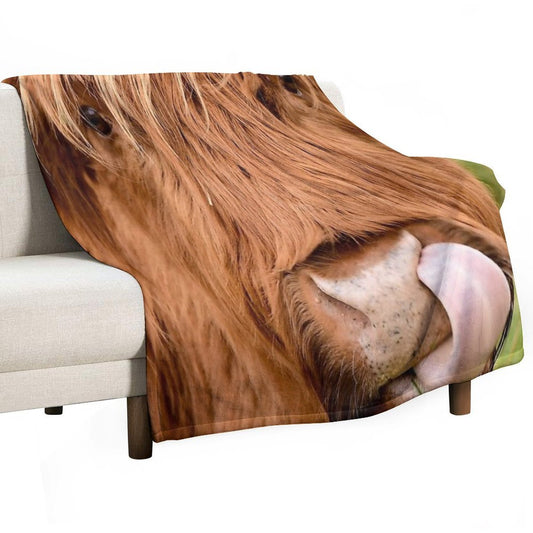 Tasty, The Highland Cow Throw Blanket