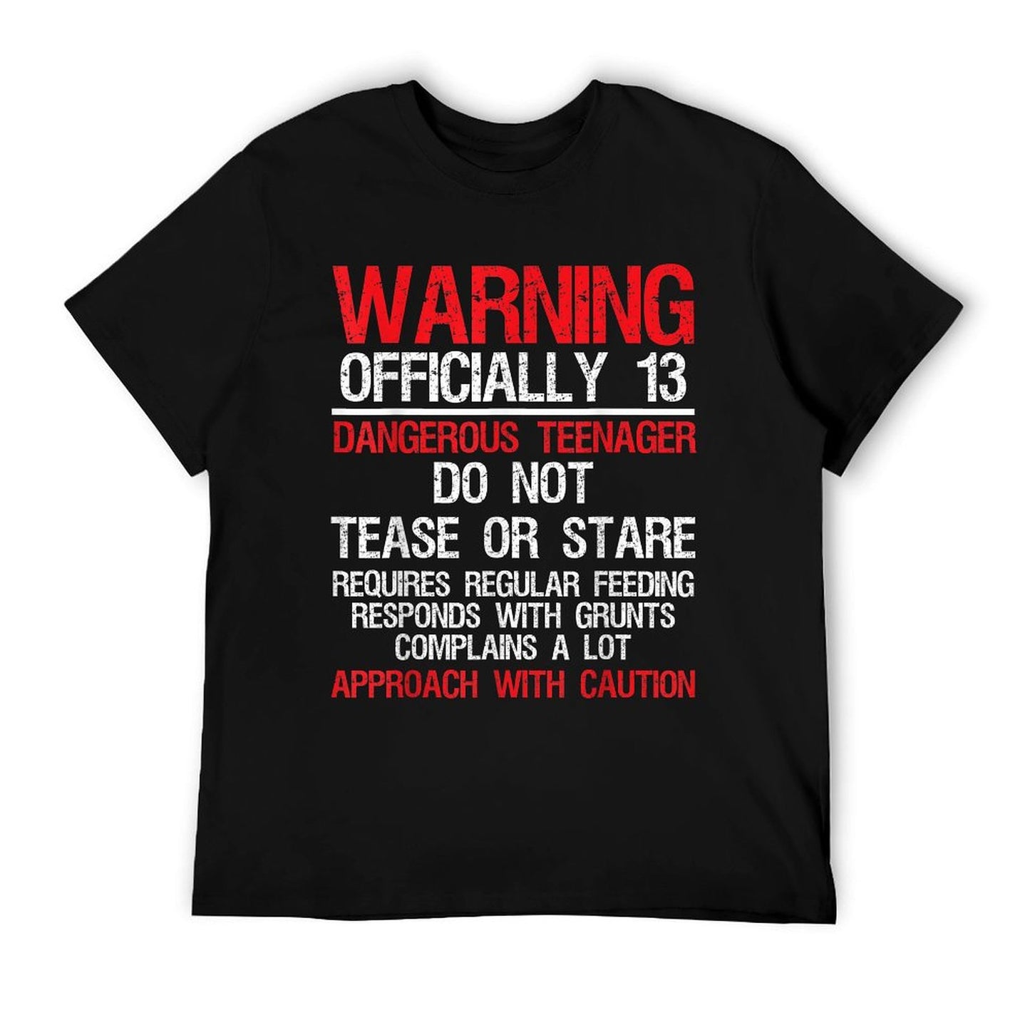 13 Years Old Warning Dangerousnager 13th Birthday T-Shirt