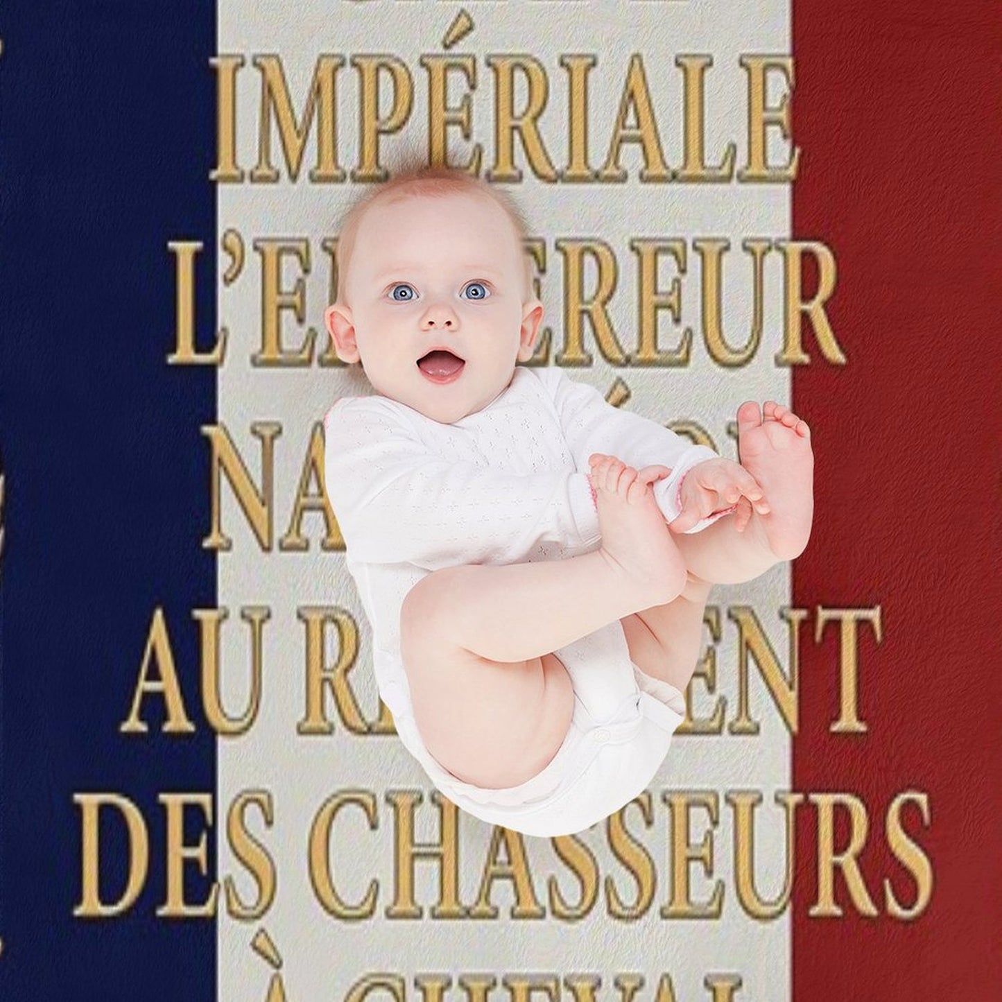 Napoleonic French Flag of The Chasseurs A Cheval De La Garde Throw Blanket