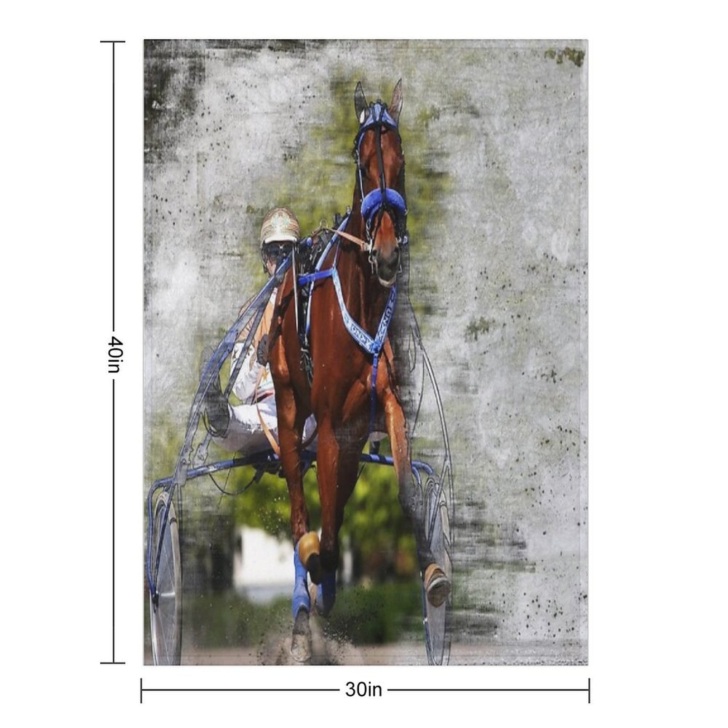 Harness Horse Cart Racing 02 Throw Blanket