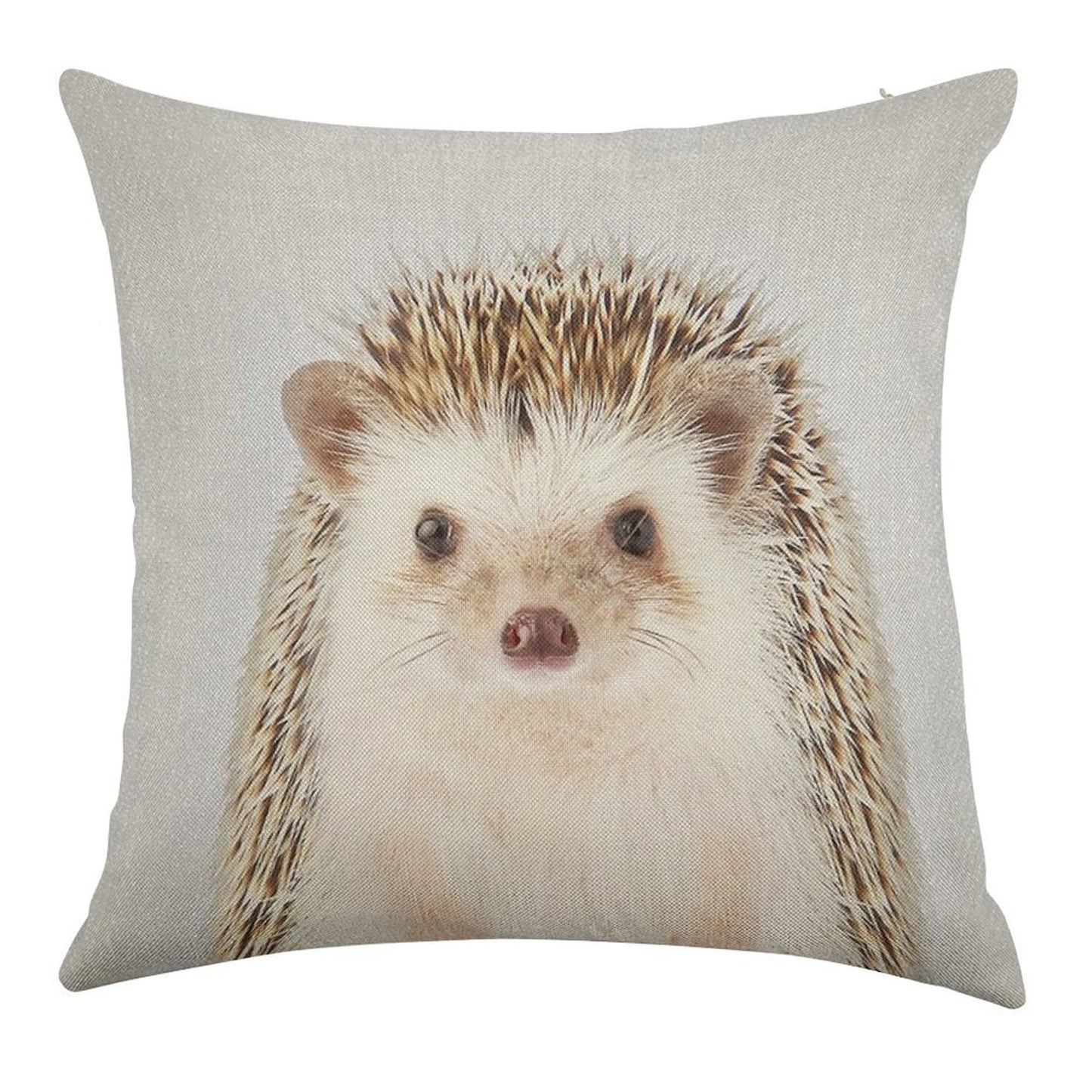 Hedgehog - Colorful Linen Throw Pillow Cover