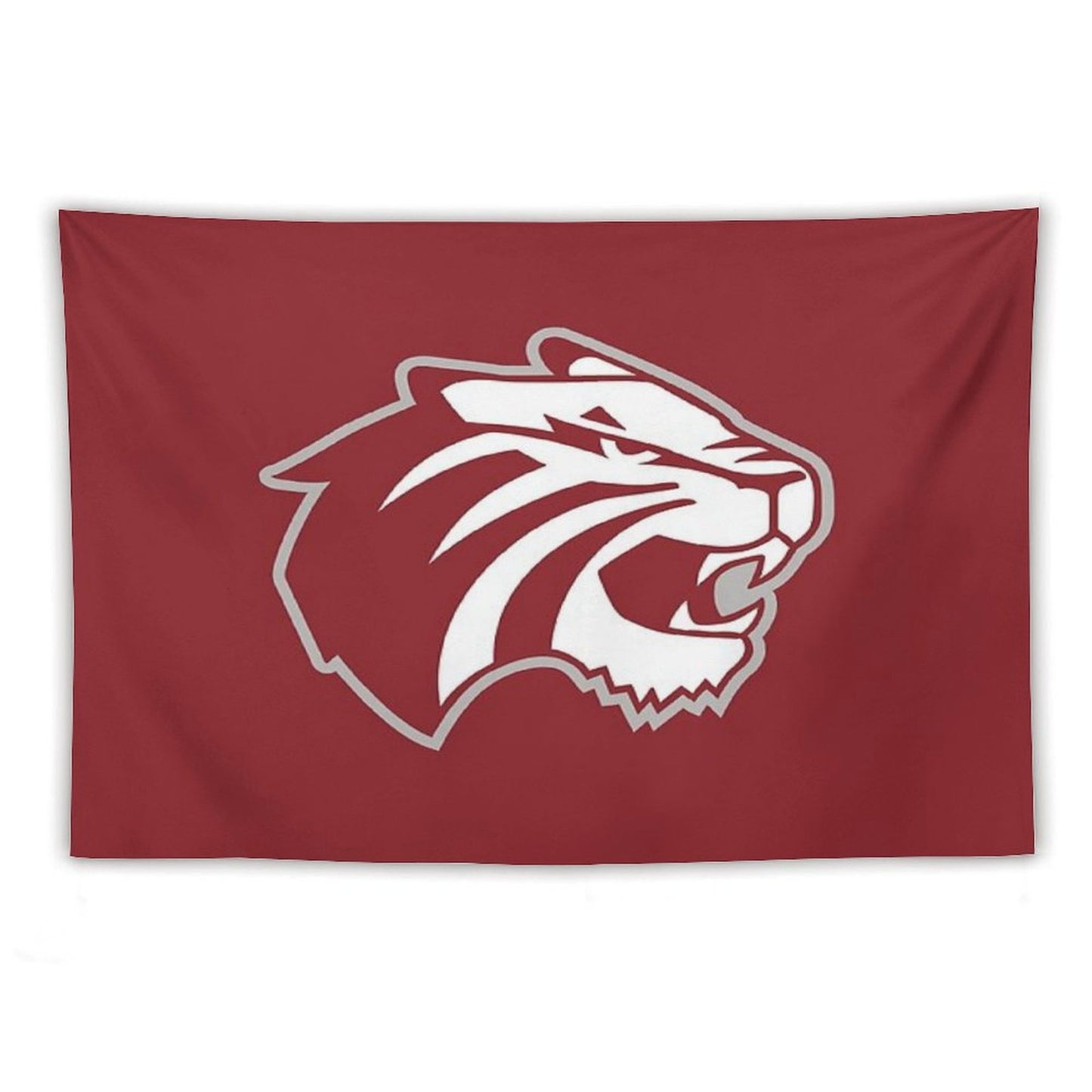 Trinity University Tapestry