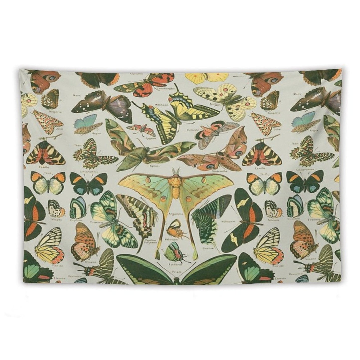 Butterfly Pattern Tapestry