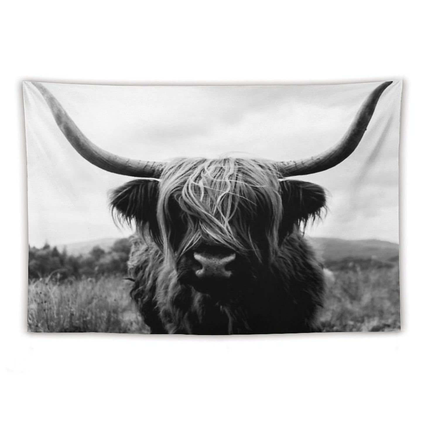 Scottish Highland Cattle - Black And White Animal Photography Tapestry