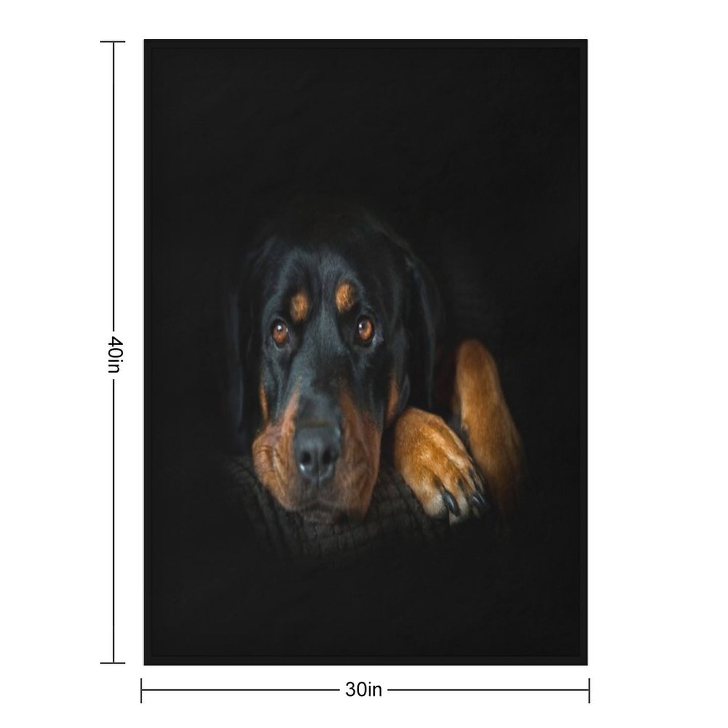 Rottweiler Resting Throw Blanket