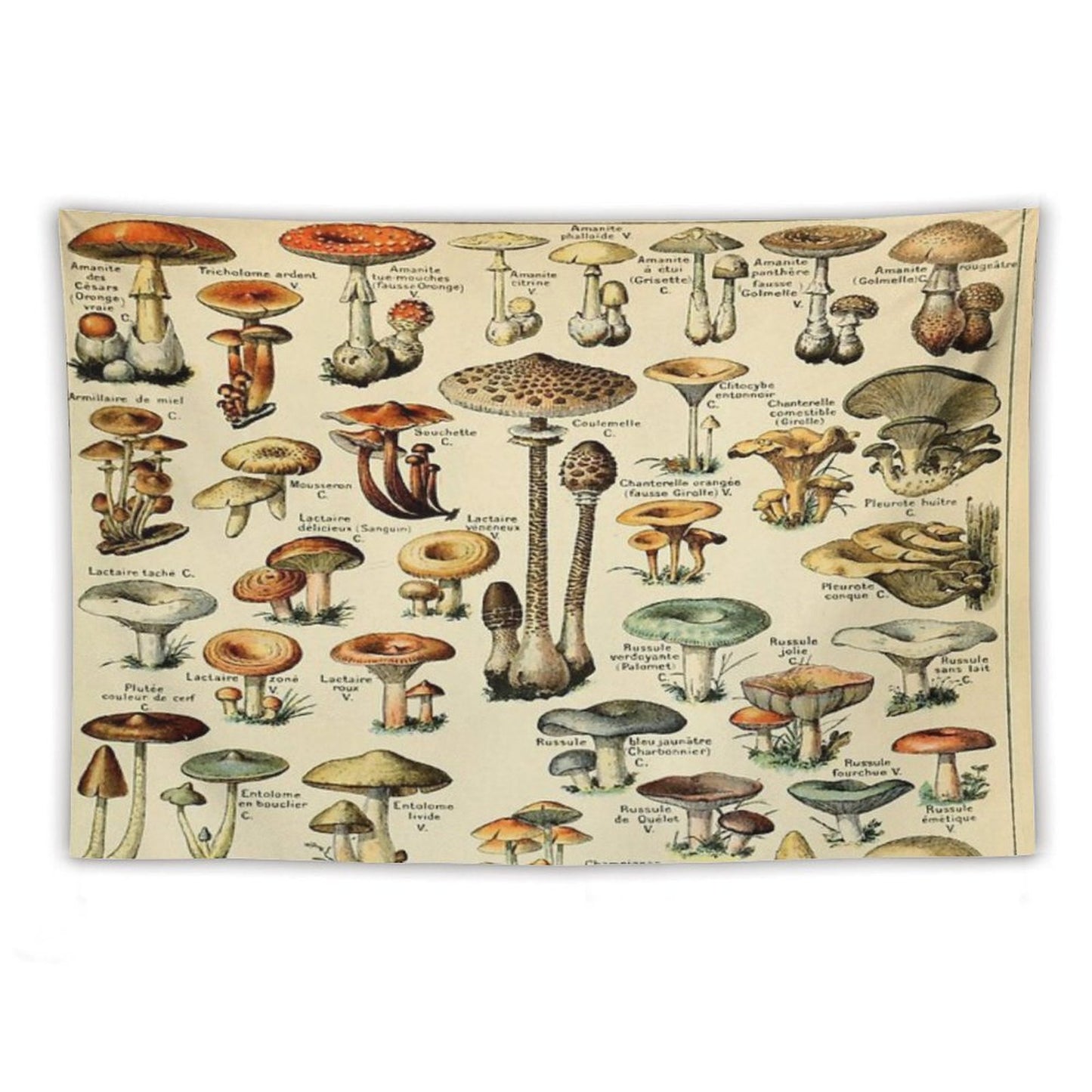 Mushrooms Tapestry