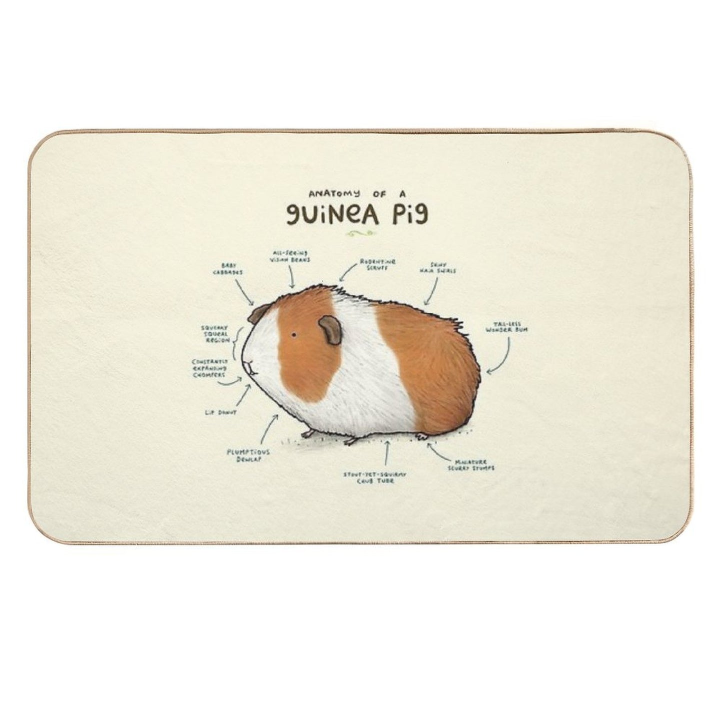 Anatomy of A Guinea Pig High-Traffic Bath Mat