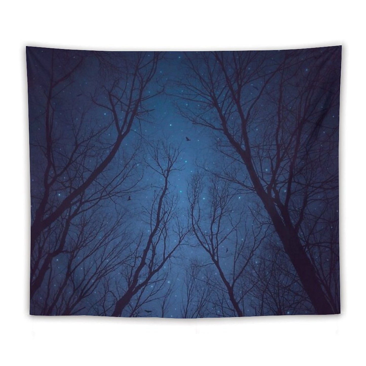 I Have Loved The Stars Too Fondly Tapestry