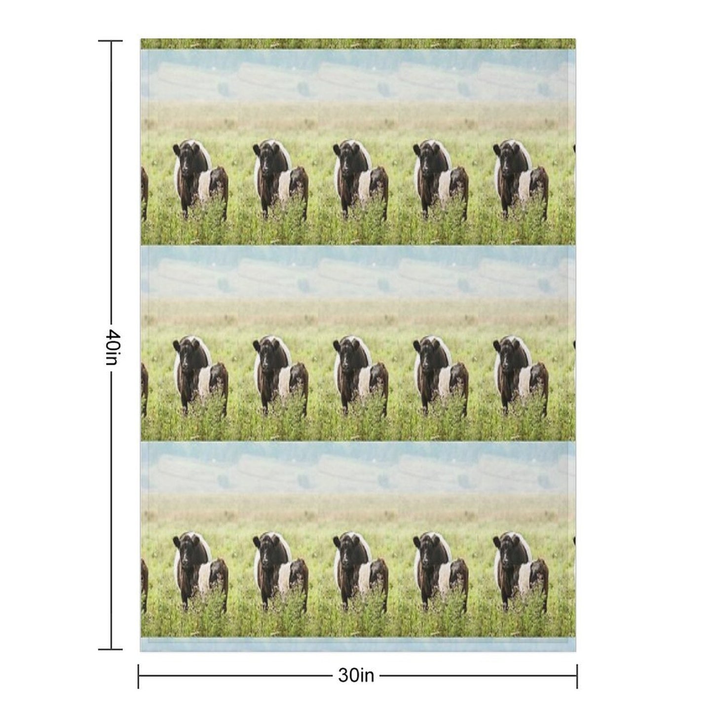 Belted Galloway Cow And Calf Throw Blanket