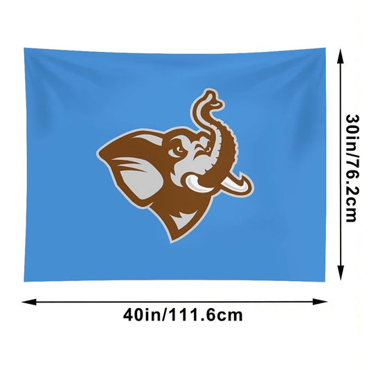 Tufts University Tapestry