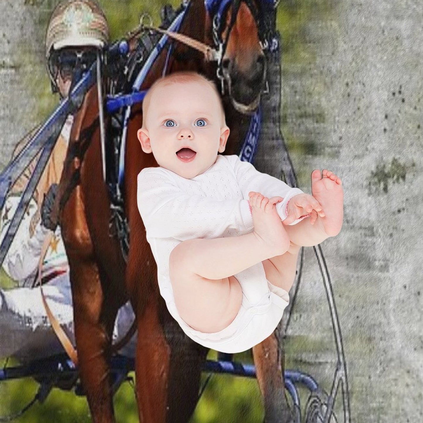 Harness Horse Cart Racing 02 Throw Blanket