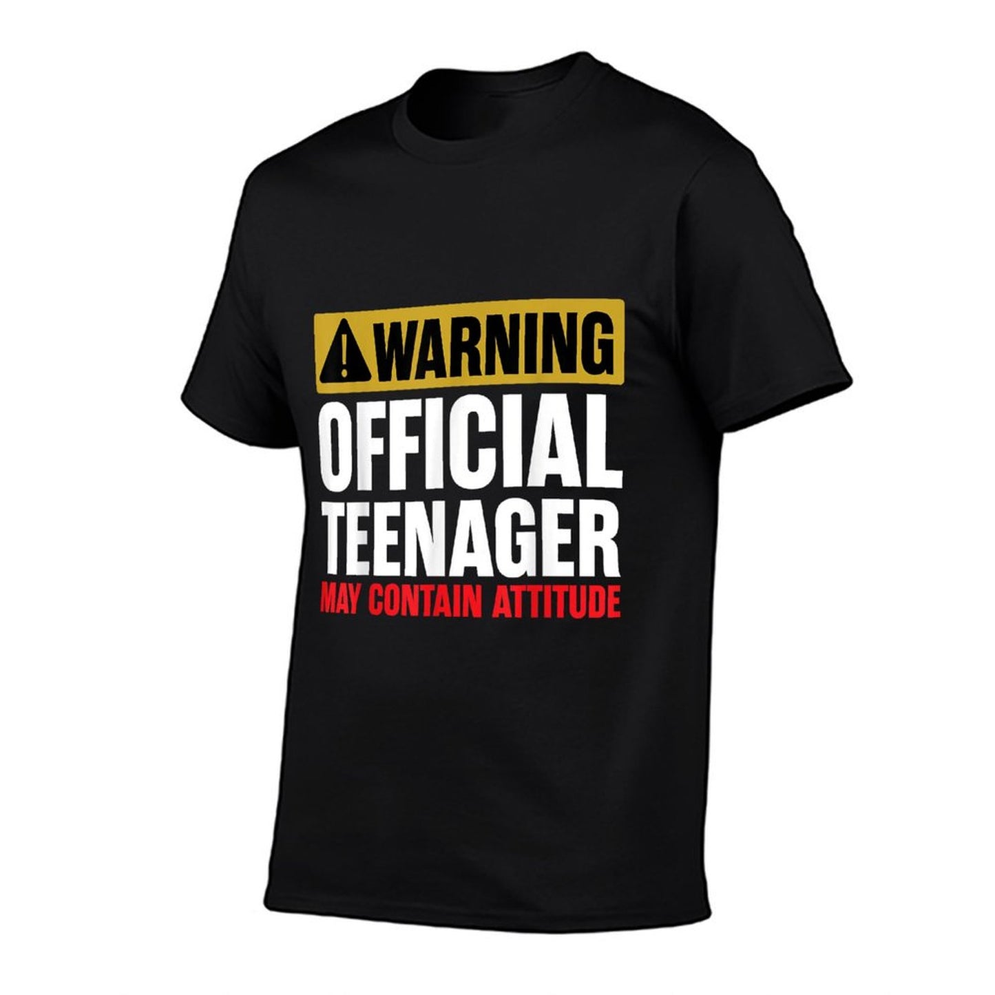 13 Birthday Officialnager Boy 13yr Math 13th Birthday T-Shirt