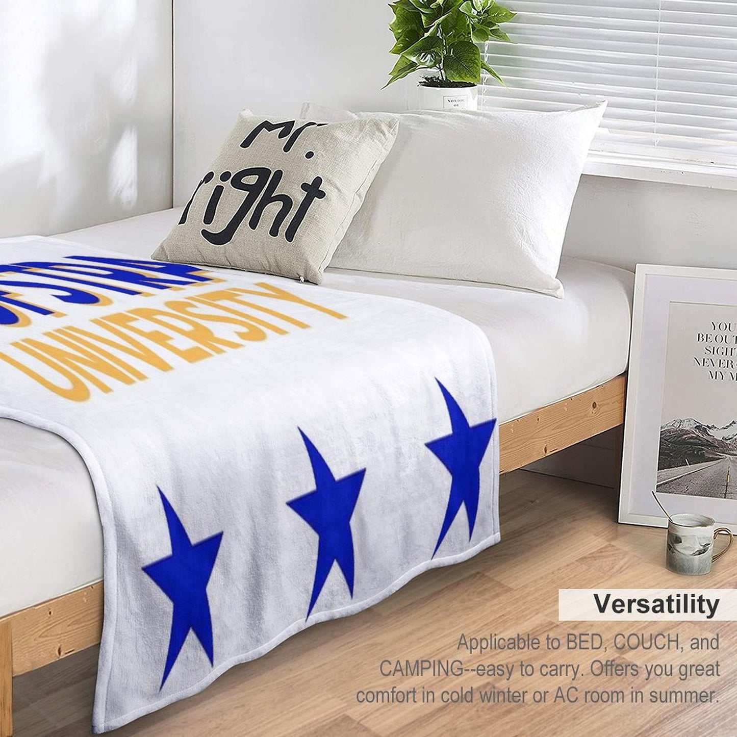 Hofstra University Throw Blanket
