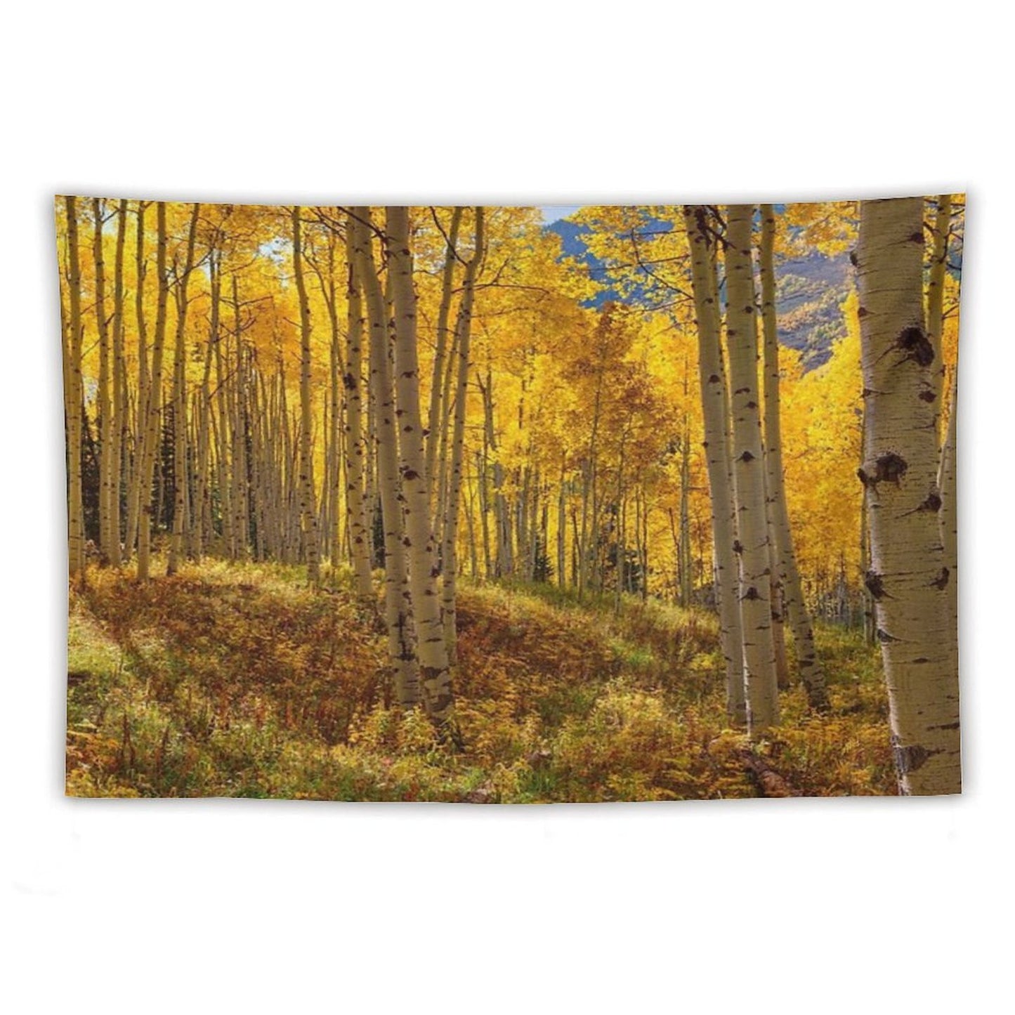 Autumn Aspen Forest Aspen Colorado Panorama Tapestry