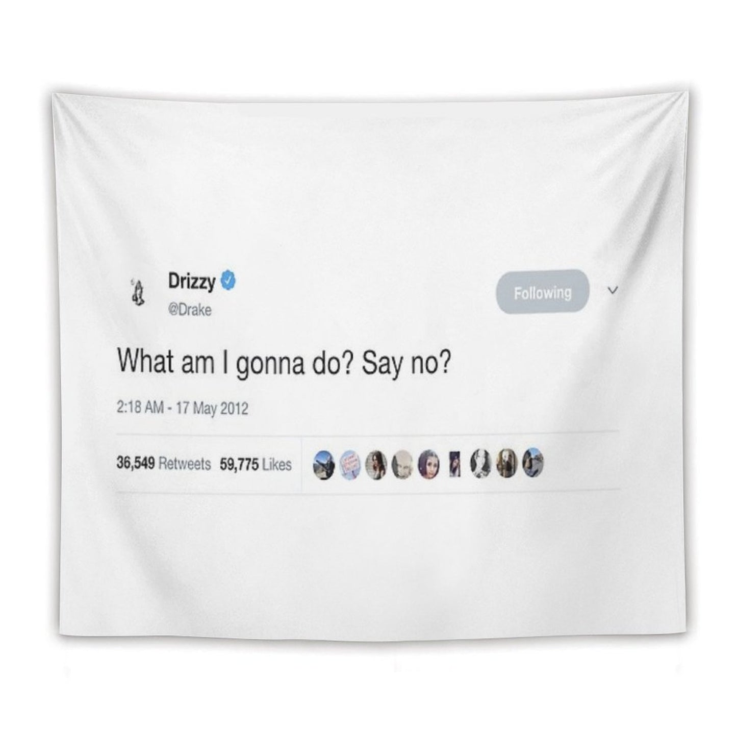 Drake - What Am I Gonna Do Say No Tweet Tapestry