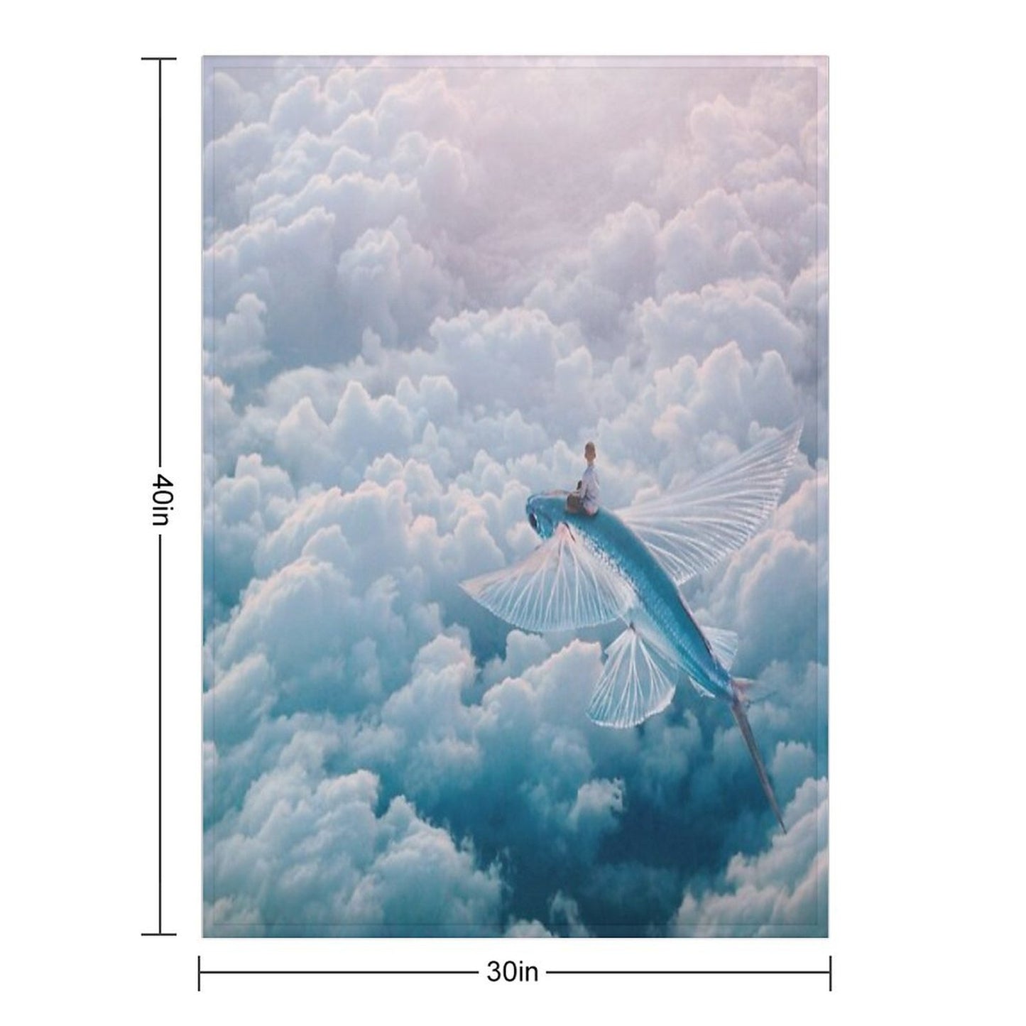 Plane Throw Blanket