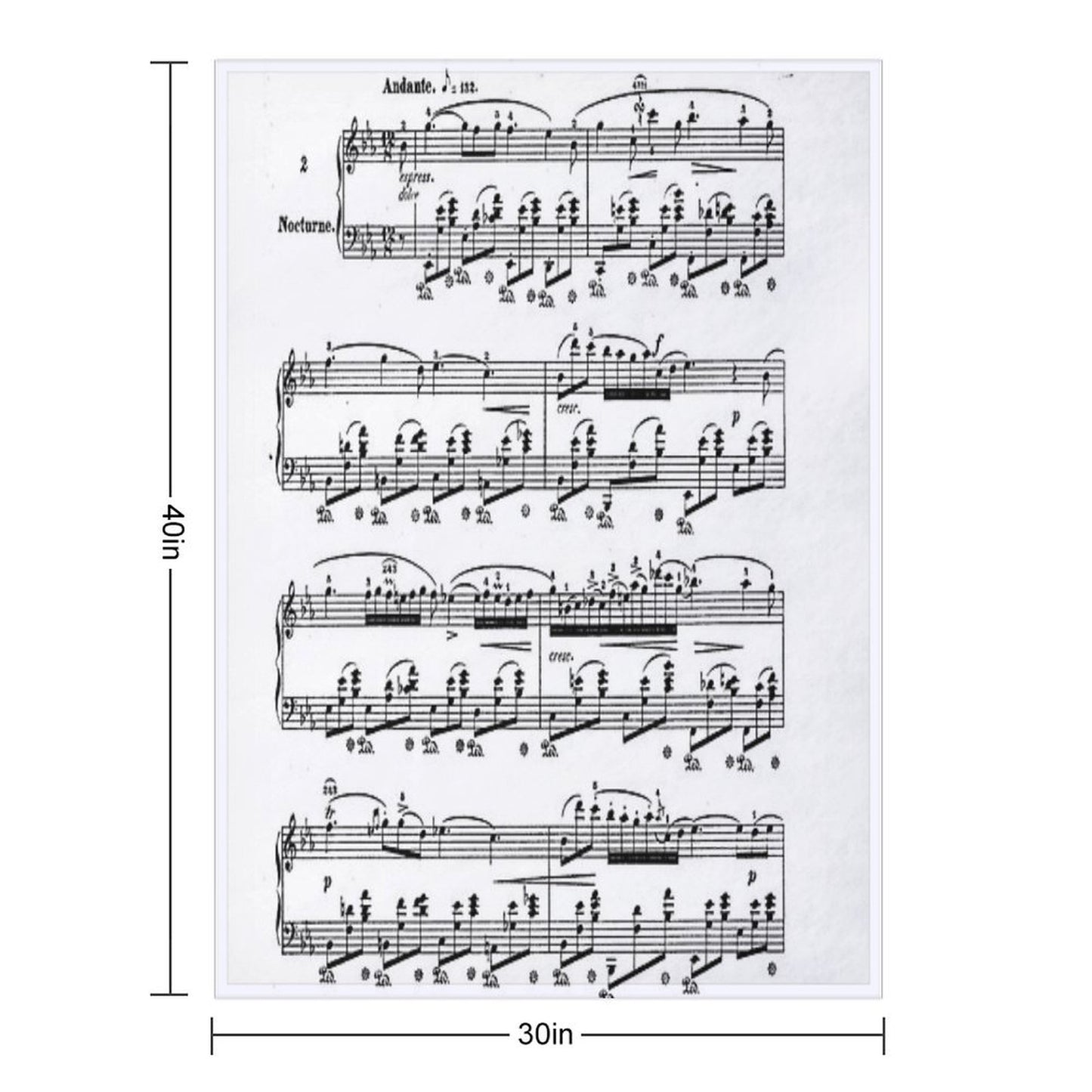 Chopin Nocturne Throw Blanket
