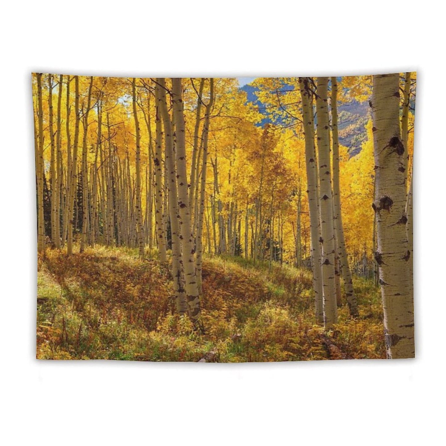 Autumn Aspen Forest Aspen Colorado Panorama Tapestry