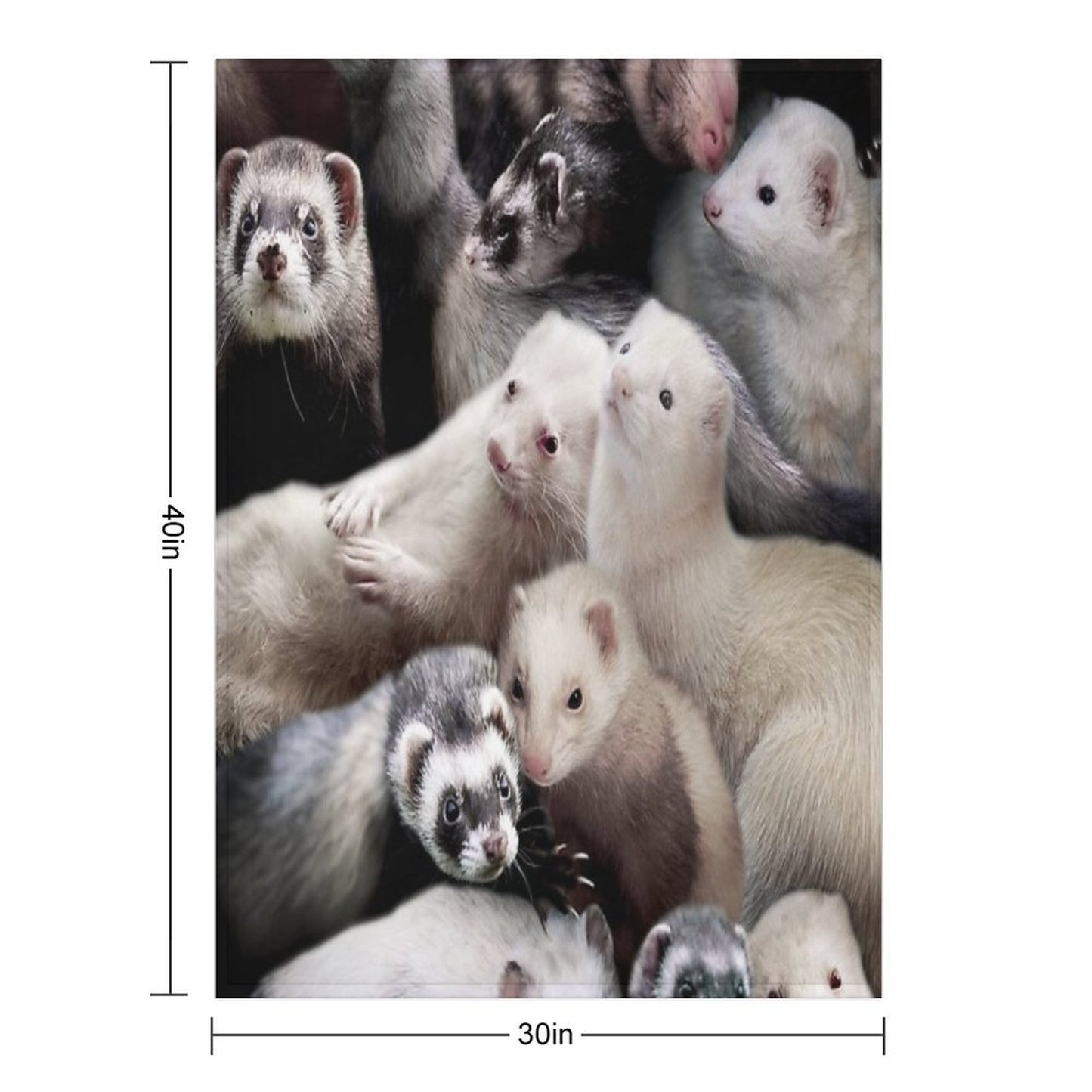 Ferrets Throw Blanket