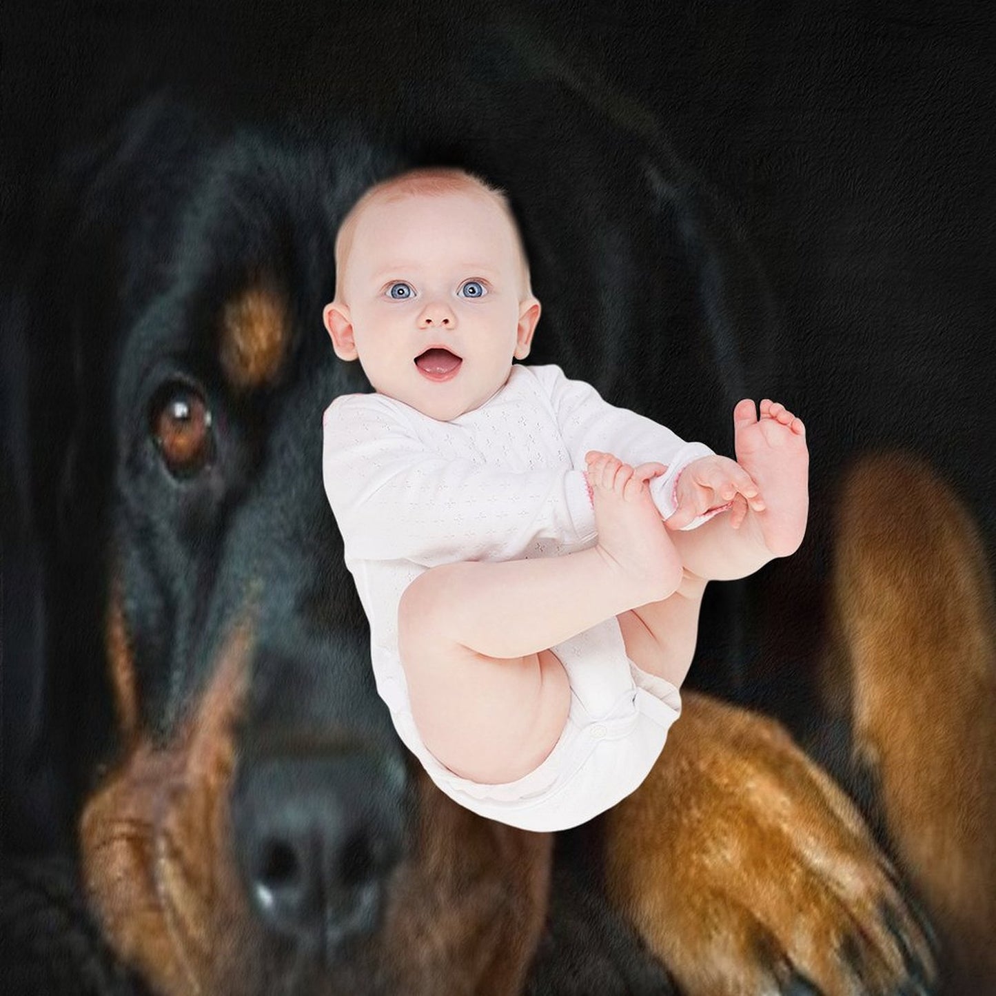 Rottweiler Resting Throw Blanket