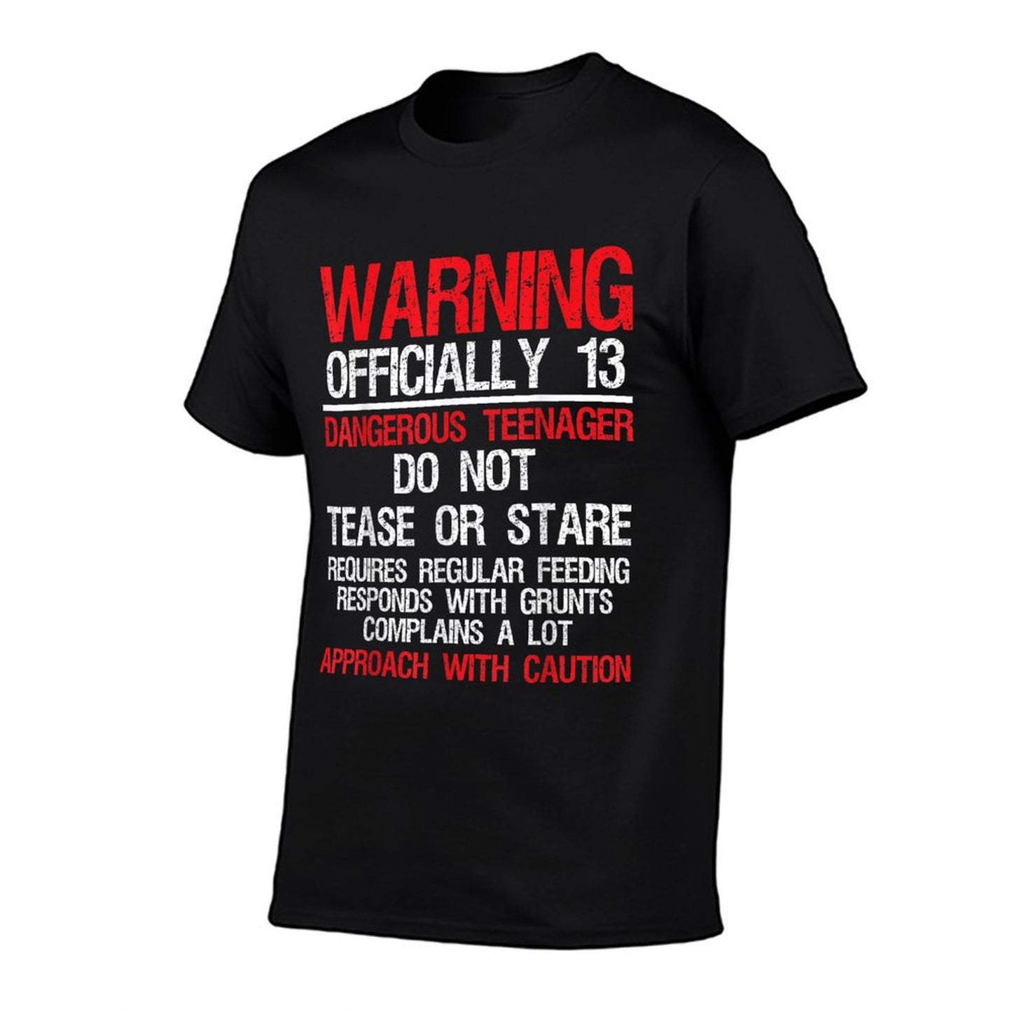 13 Years Old Warning Dangerousnager 13th Birthday T-Shirt
