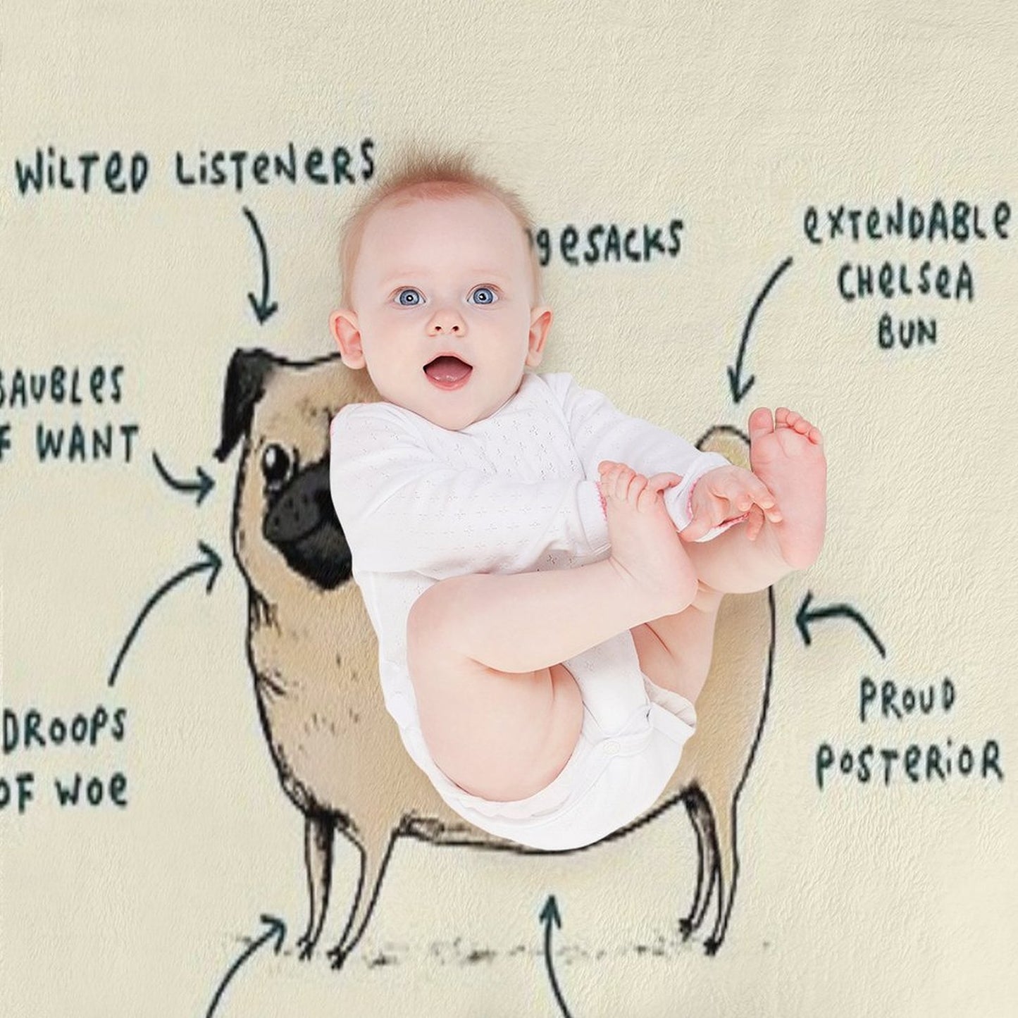 Anatomy of A Pug Throw Blanket