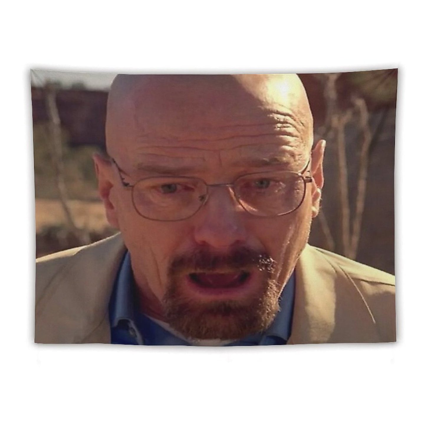 Walter White Meme Tapestry