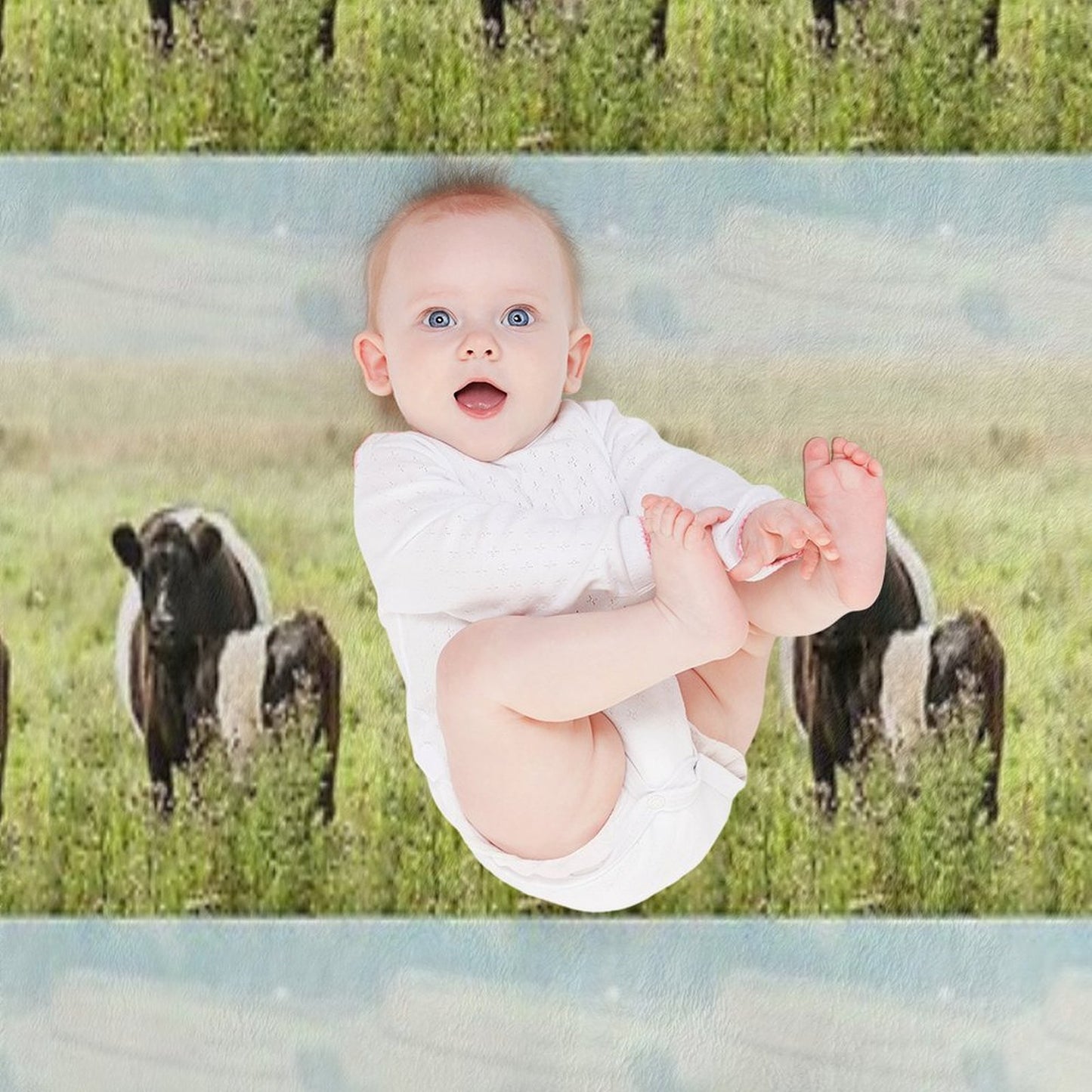 Belted Galloway Cow And Calf Throw Blanket