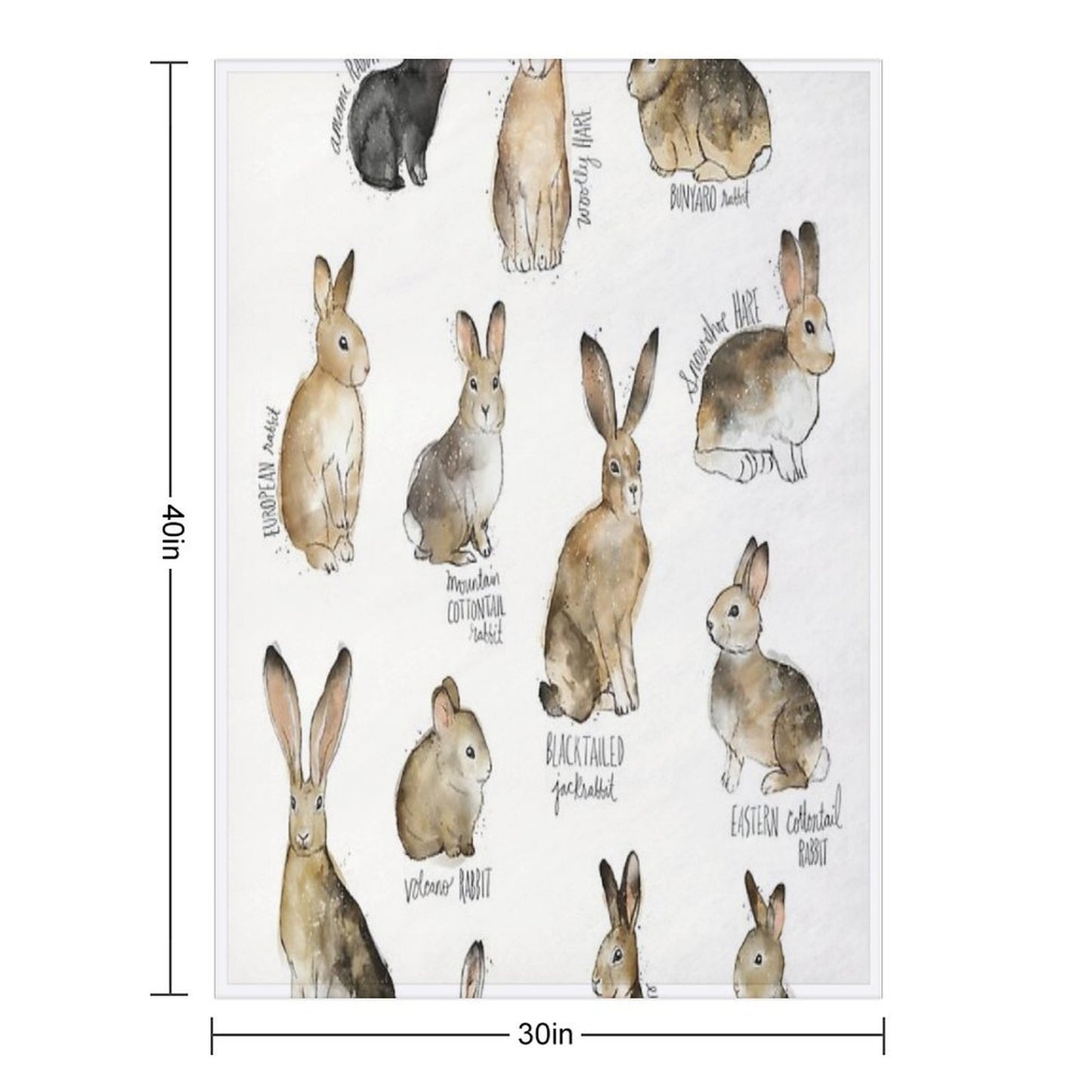 Rabbits & Hares Throw Blanket