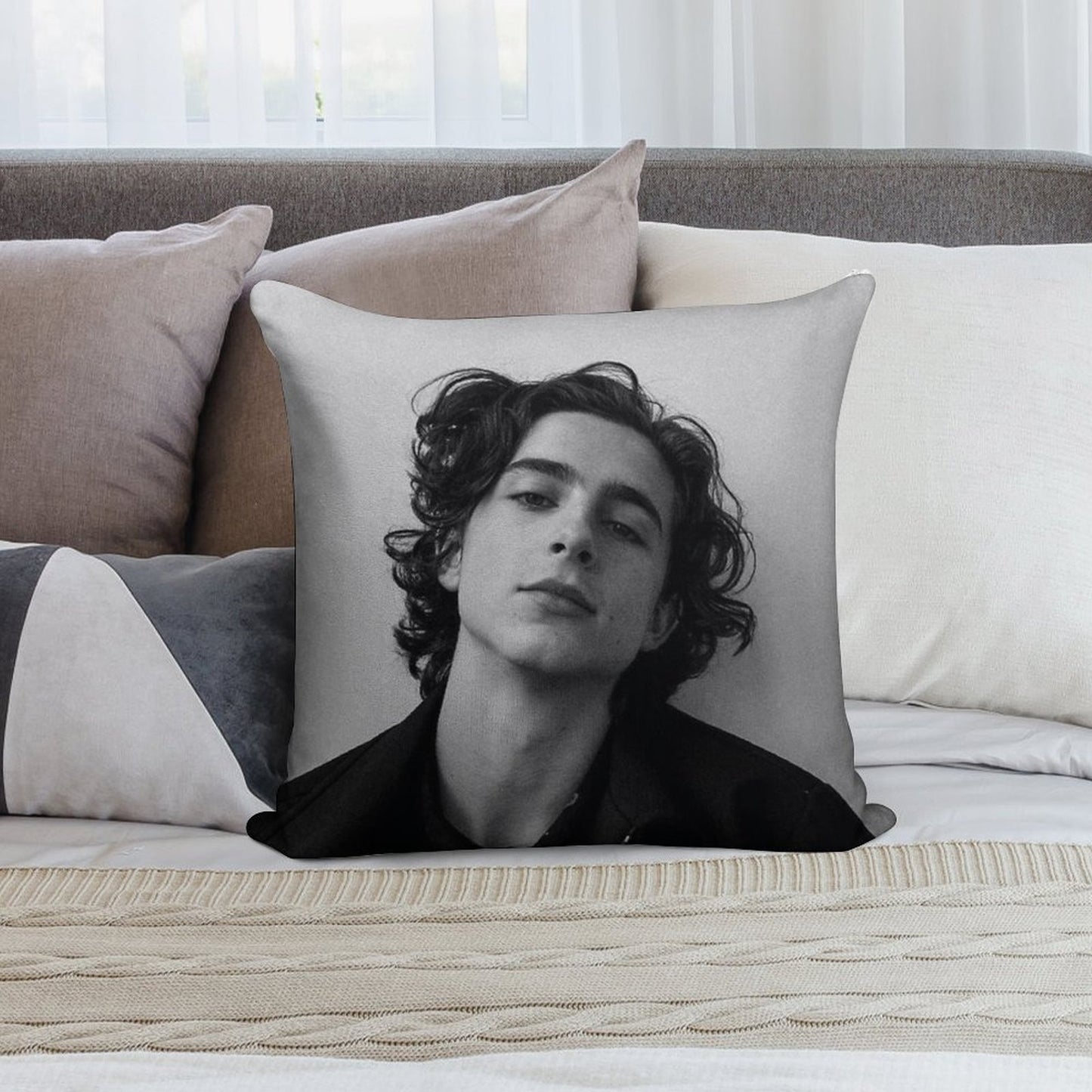 Chalamet Soft High-Density Material Throw Pillow