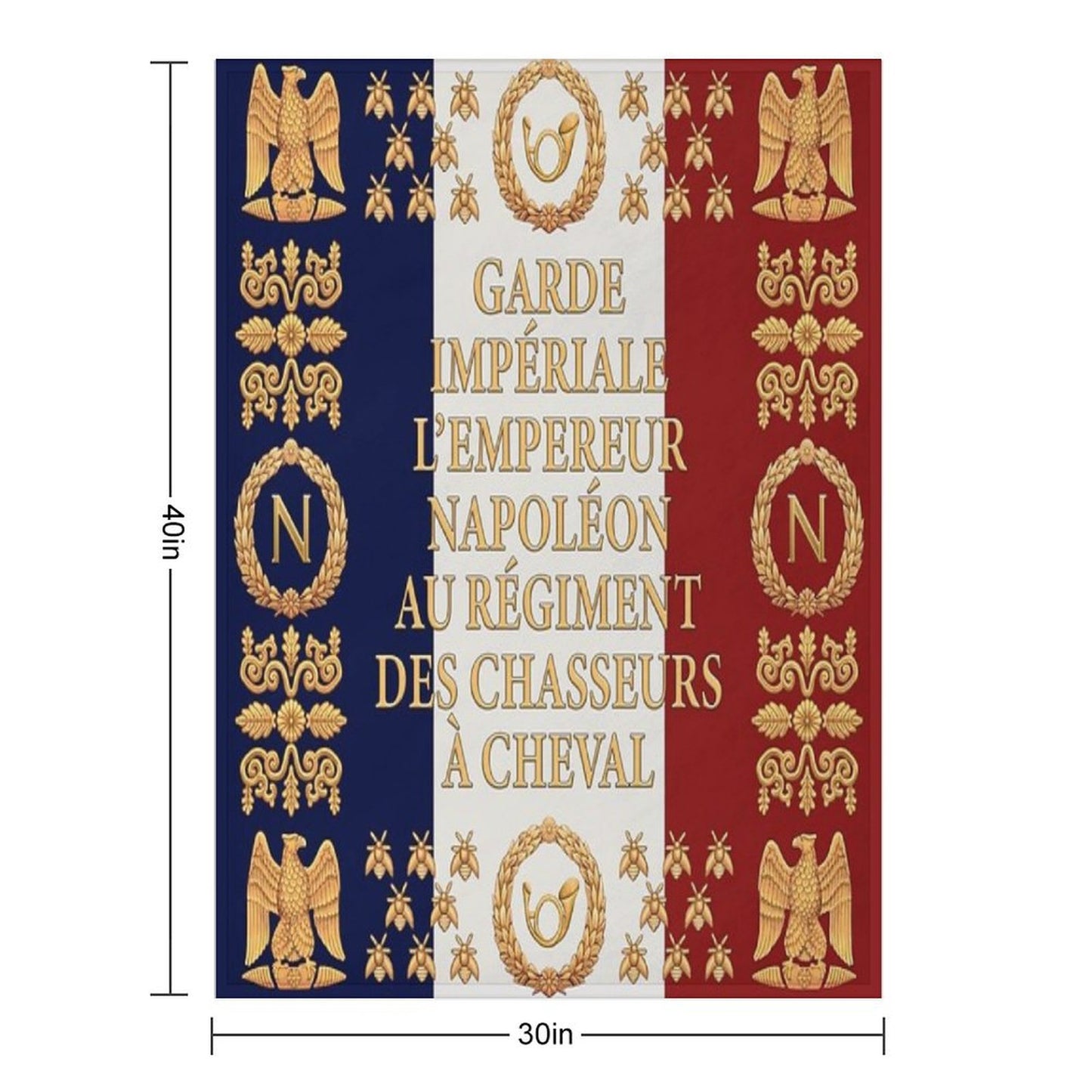 Napoleonic French Flag of The Chasseurs A Cheval De La Garde Throw Blanket