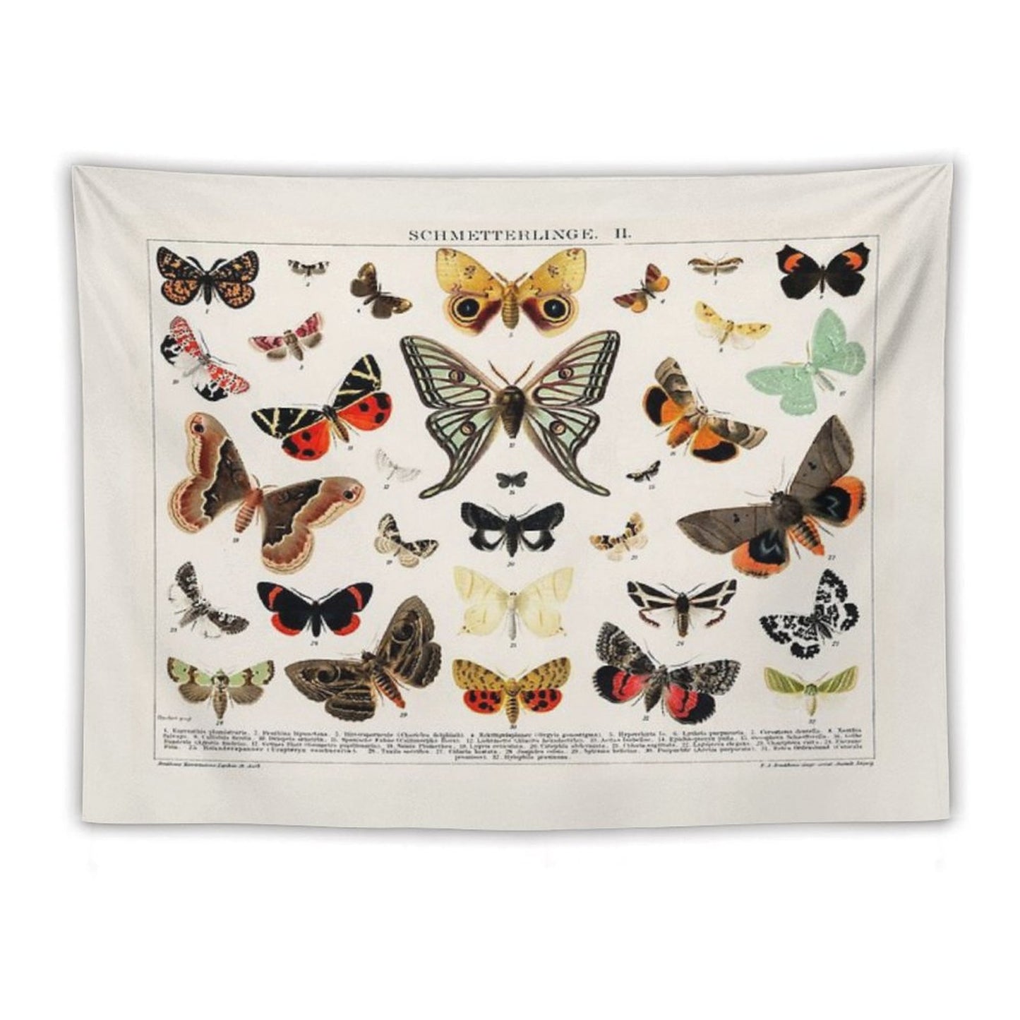 1894 Antique Butterfly Classification Illustration Tapestry