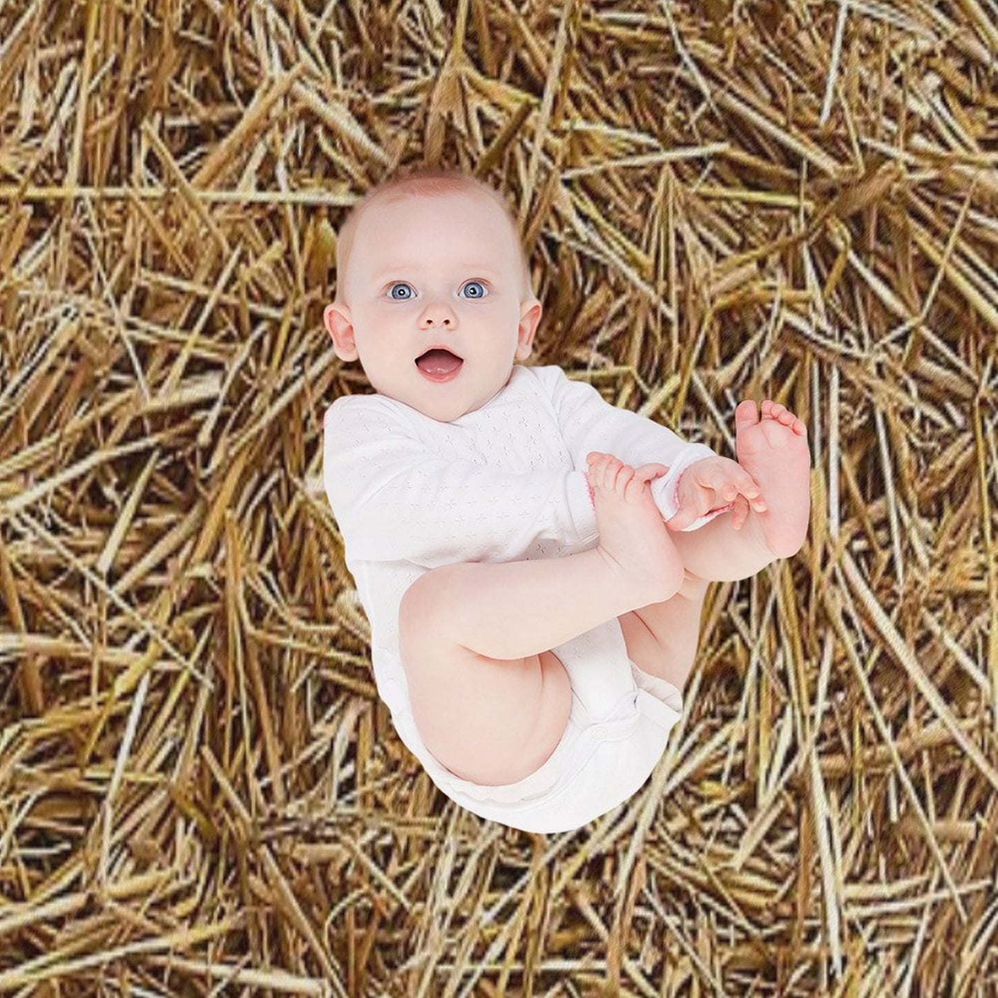 Hay Straw Throw Blanket