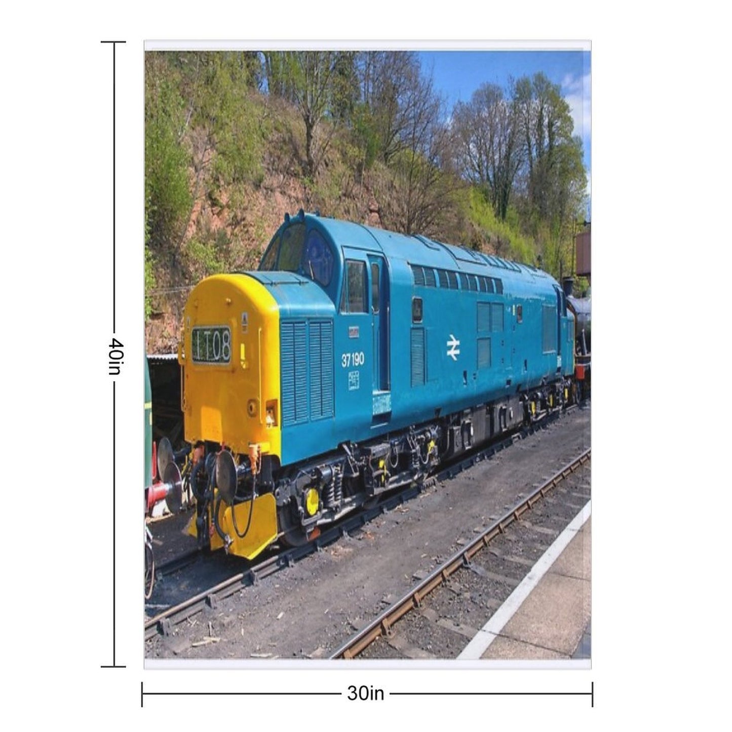 Class 37 at Bewdley Throw Blanket