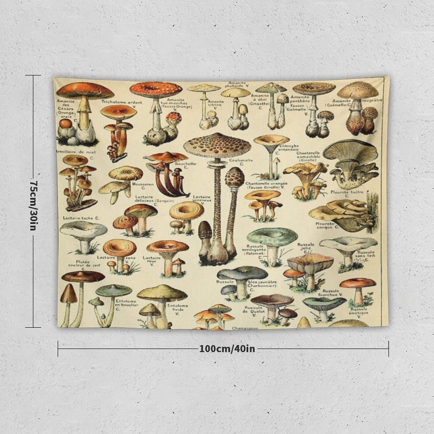 Mushrooms Tapestry