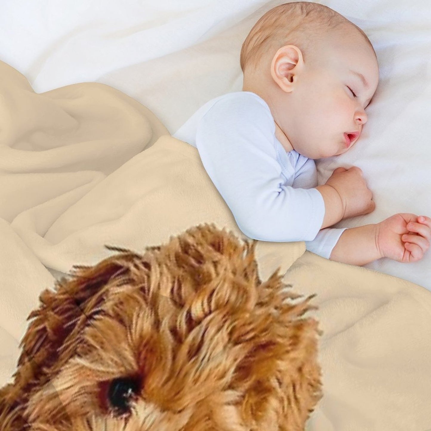 Cavapoo Throw Blanket